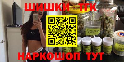 шишки Камышлов