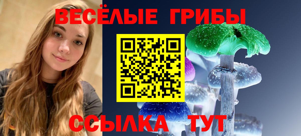Псилоцибиновые грибы мицелий  Вход с VPN  Лениногорск 